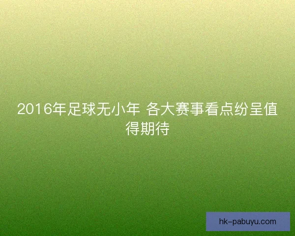 2016年足球无小年 各大赛事看点纷呈值得期待